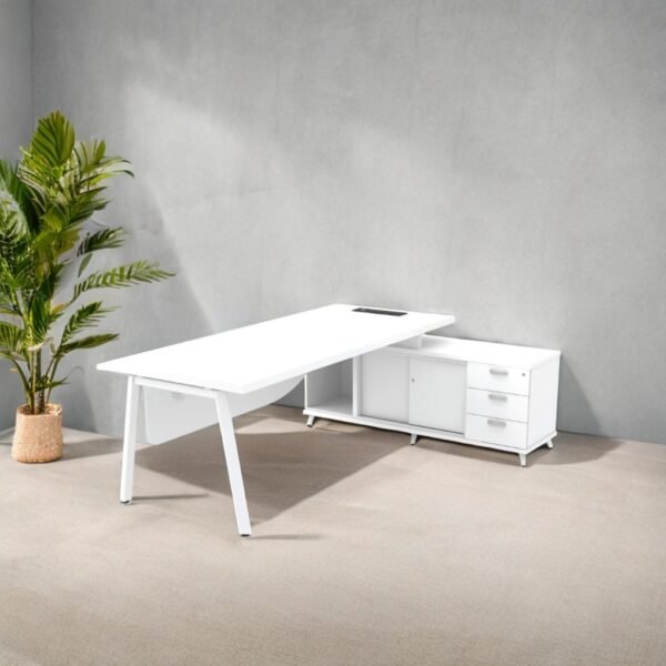 Executive & Director Desks