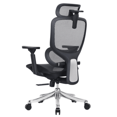 flexsit-wp2 flexsit-wp2