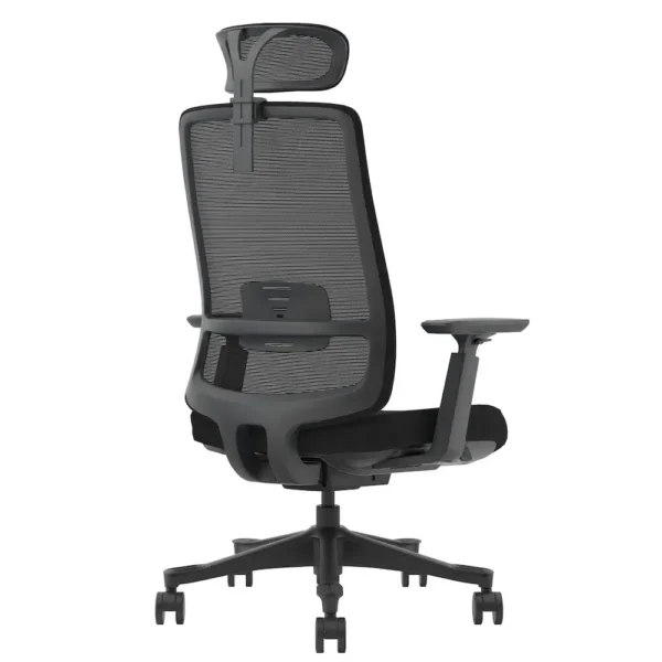 Luna Ergonomic