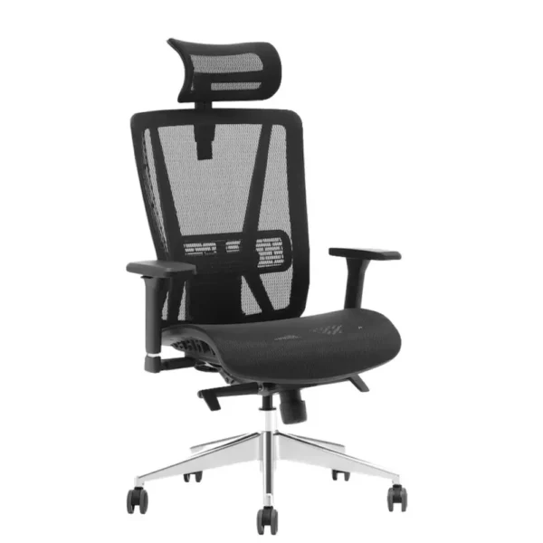 Ergonomic Chairs