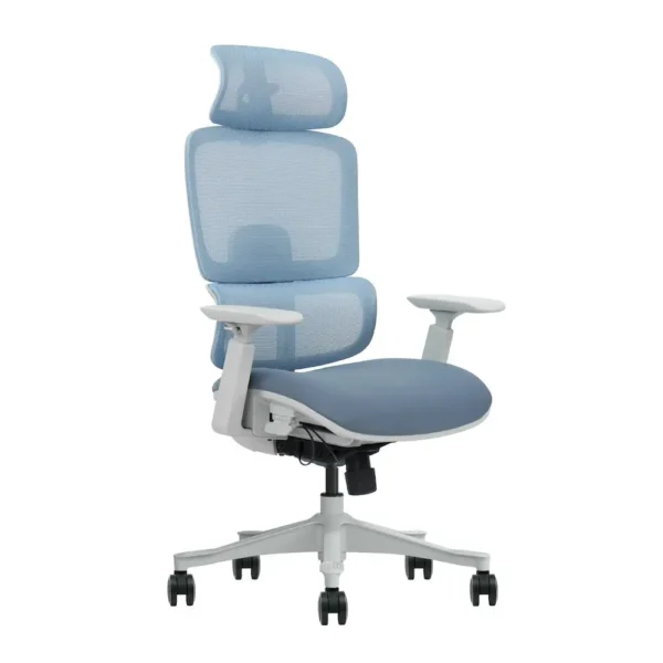 Beyond Ergonomic(Foam Seat)
