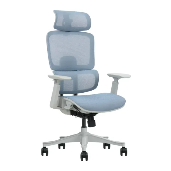 Beyond65 Ergonomic (Mesh Seat)