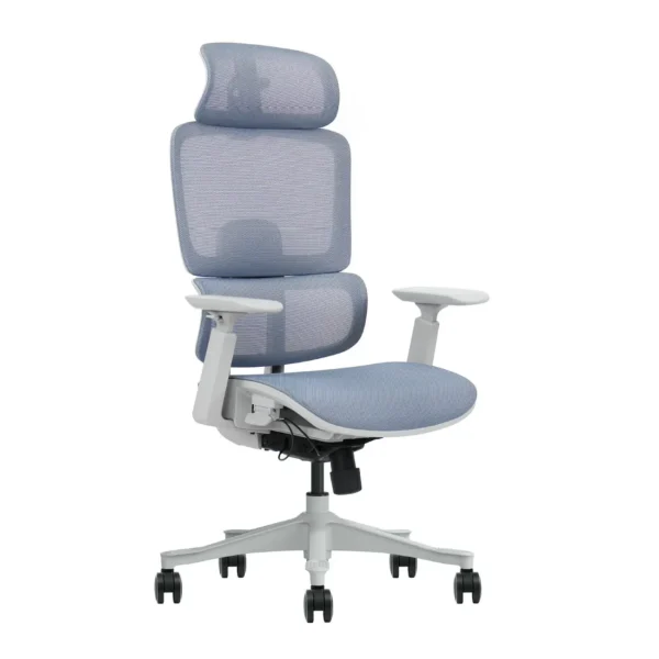 Beyond66 Ergonomic (Mesh Seat)