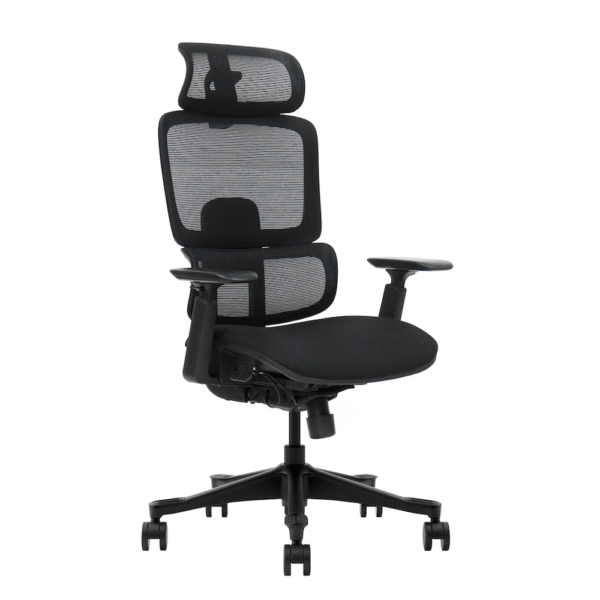 Beyond Ergonomic (Black Foam Seat)