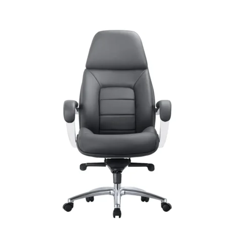 jaguar-hr-1 jaguar-hr-1