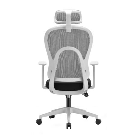 jolly-high-g4-1 jolly-high-g4-1