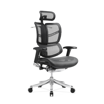 Fly Ergonomic *Display